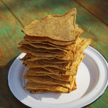 Guizar Tostada cuadrada 245 gr