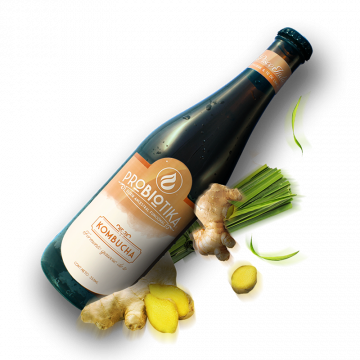 Probiotika kombucha pisco indÃº 355 ml