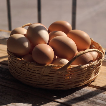 Huevo por kilo villa de patos