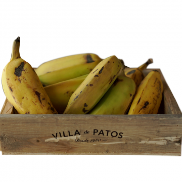 Plátano costillón a granel - orgánico *