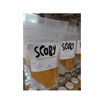 Rgb scoby de kombucha 320g