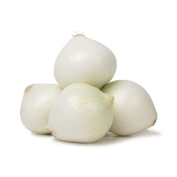 Zoco organico cebolla blanca