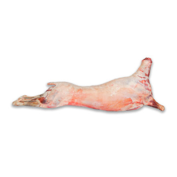 Canal de cordero kilo