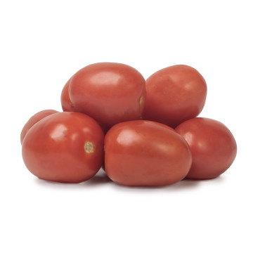 Zoco organico jitomate saladette