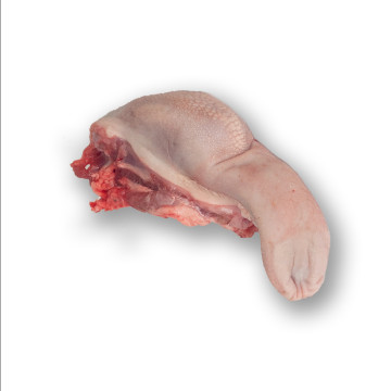 Lengua de cordero kilo