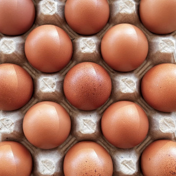 Huevo de rancho dr. beltran por kilo